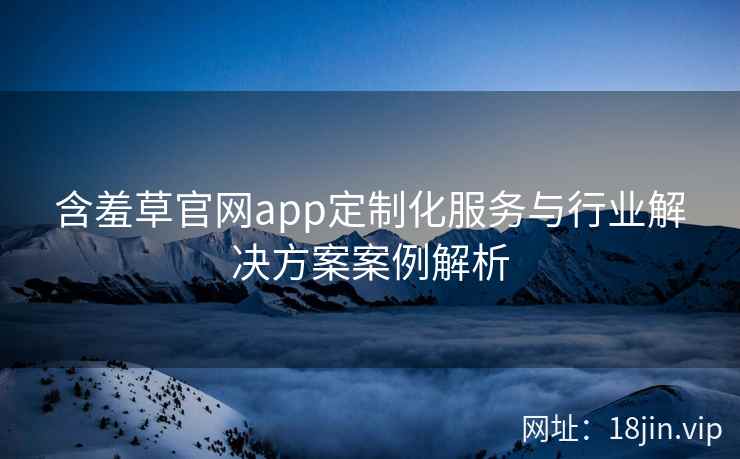 含羞草官网app定制化服务与行业解决方案案例解析