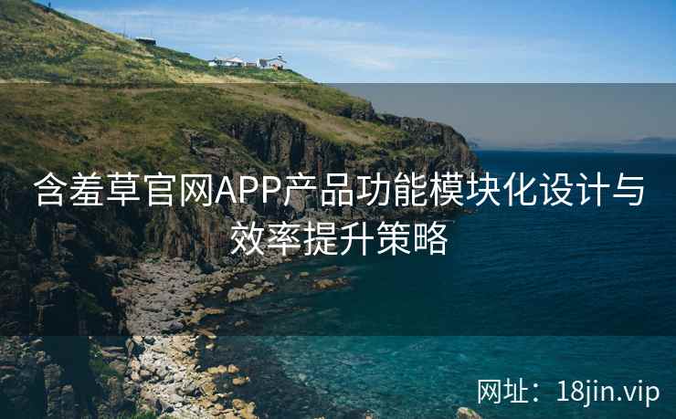 含羞草官网APP产品功能模块化设计与效率提升策略